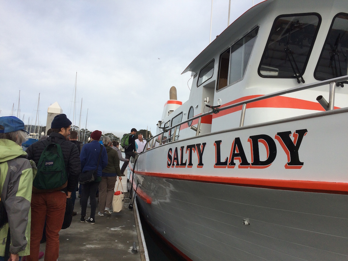 Salty lady 1200